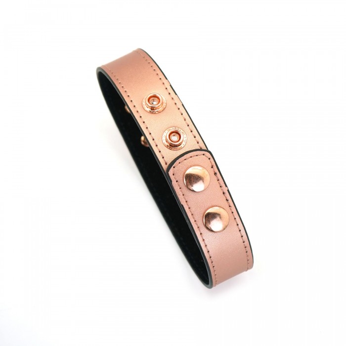 Нашийник із затискачами для сосків Liebe Seele Rose Gold Memory Collar with Nipple Clamps, шкіра